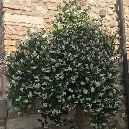 Alloggio per agriturismo Il Ghetto Farm