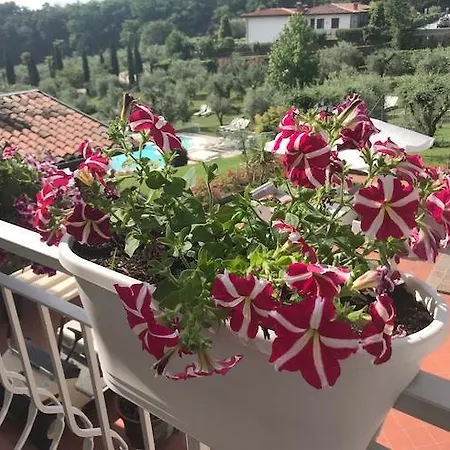 Il Ghetto Farm Alloggio per agriturismo *